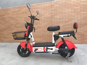 zred1_cfd2d88a-bdd9-497d-9b28-86881179470f