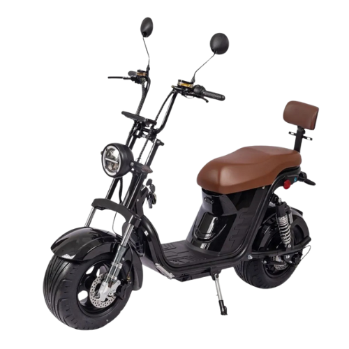 Sem nome (512 x 512 px) (550 x 580 px) (450 x 580 px) (5)